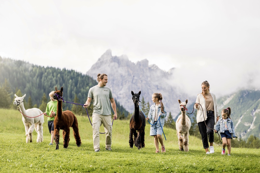Family Resort Rainer hotel a Sesto per famiglie, passeggiata con alpaca