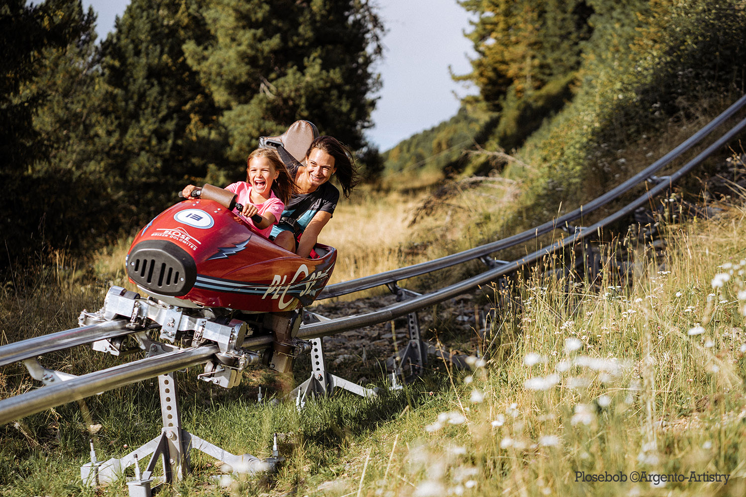 Plosebob in Alto Adige