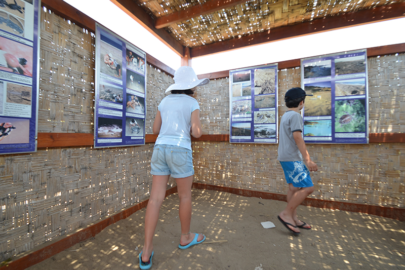 Spiaggia di Lara nella penisola di Akamas