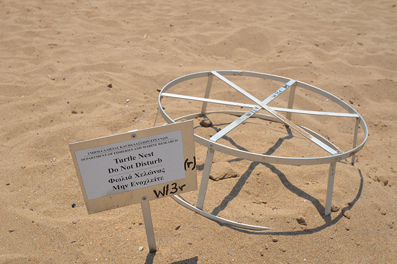 Spiaggia di Lara, area di nidificazione delle tartarughe