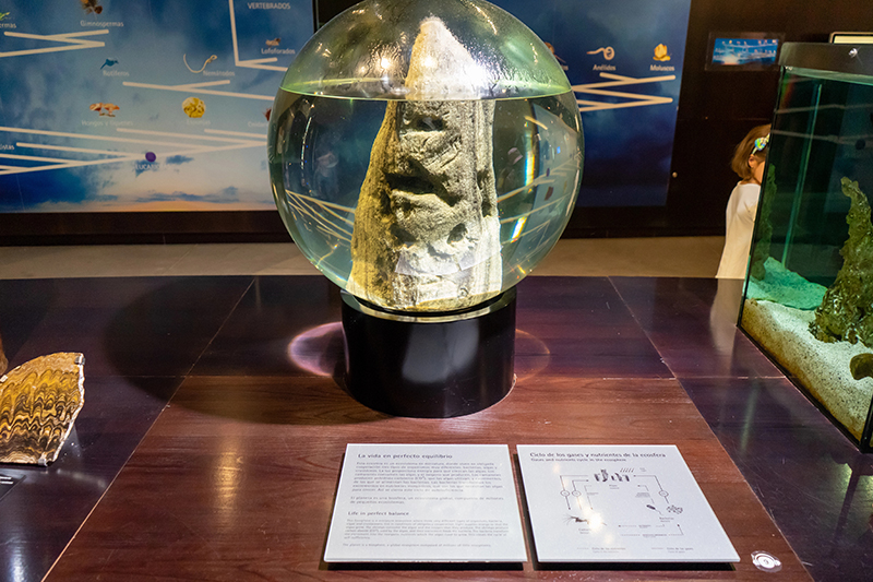 Parco delle Scienze © vitaliybilyak