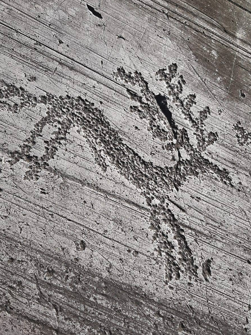 Incisioni rupestri © ArchExperience