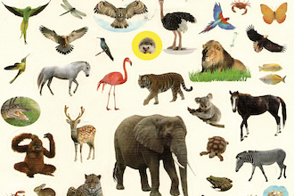 museo madre napoli uri aran