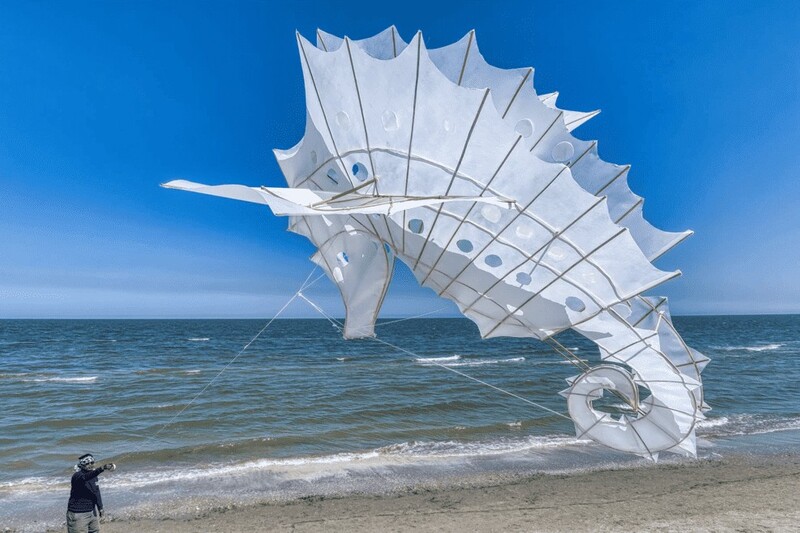 “Seahorse" - Kite - Kadek Armika - Bali - Indonesia© Wolfgang Bieck - Germany - 2025 - 04 - 29