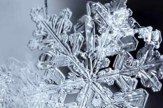 Acquario civico di Milano