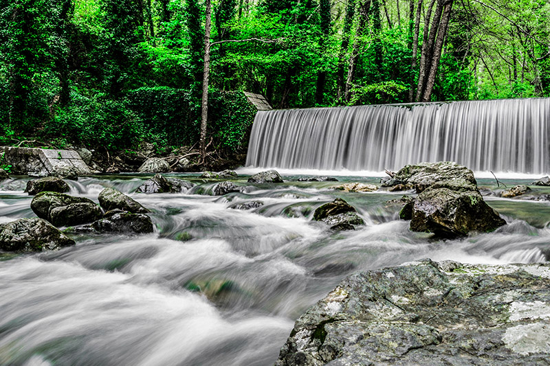 Bosco Magnano nel Parco del Pollino