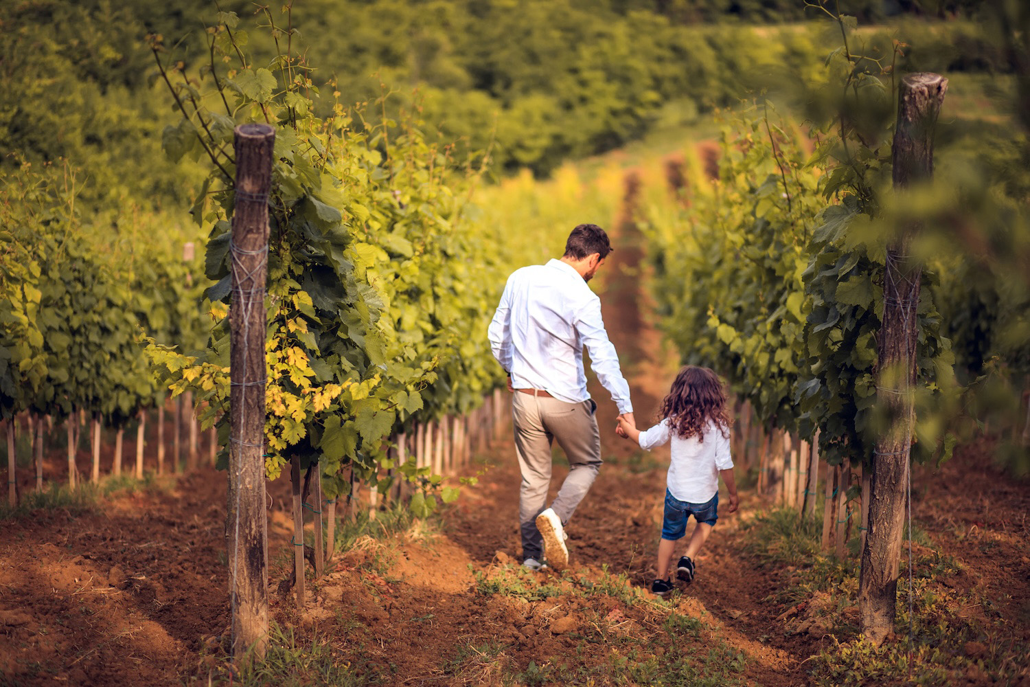 Esperienze in famiglie tra le vigne come con Cantine Etiche in Umbria