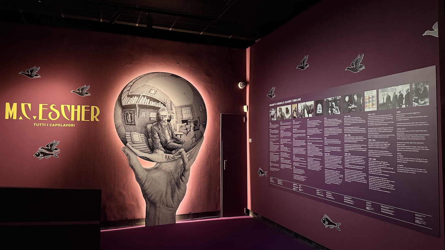 Mostra Escher Padova, ingresso