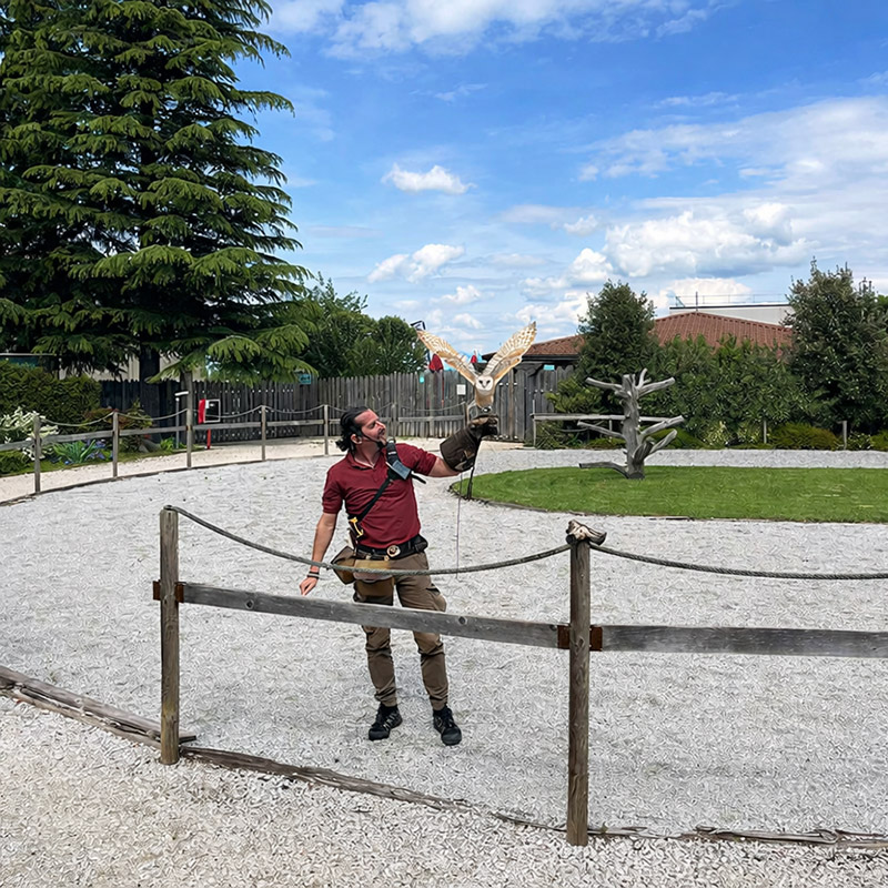 Parco Acrobati del Sole, falconieri