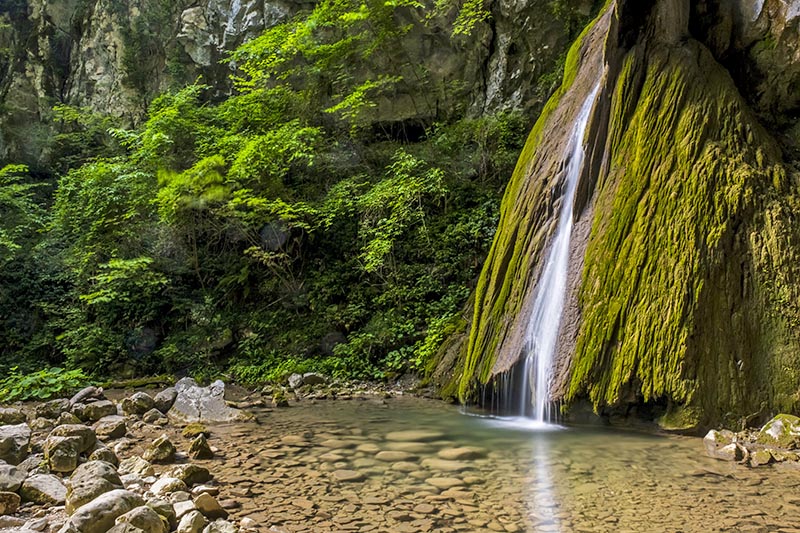 Forest bathing nelle Valli del Natisone