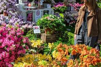 Nel segno del giglio alla Reggia di Colorno