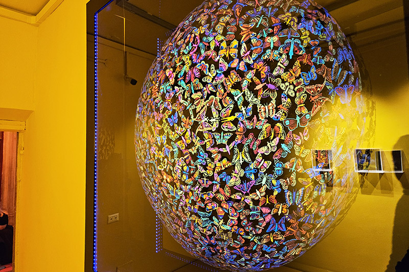 Mostra Flowers al Chiostro del Bramante