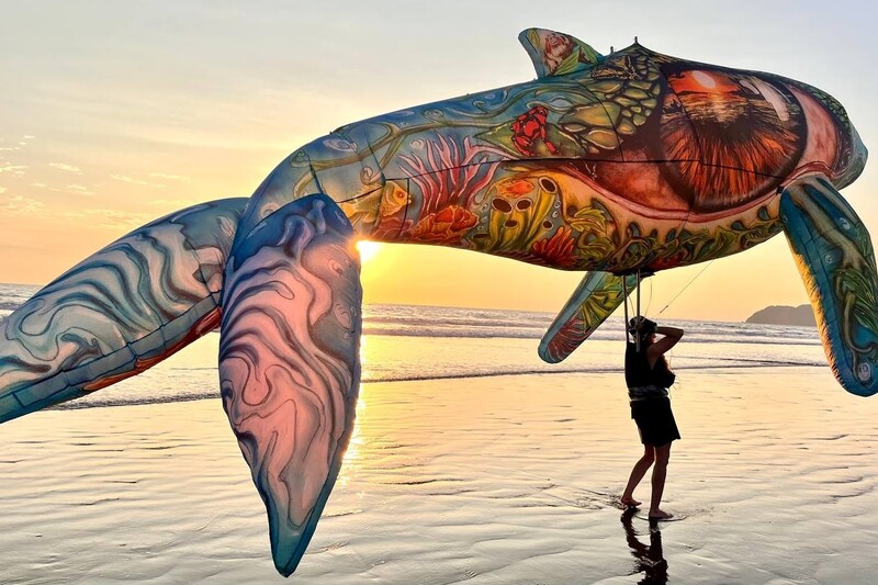 Festival Aquiloni di Cervia © Bimana