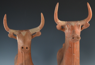 Ankara tori mostra roma