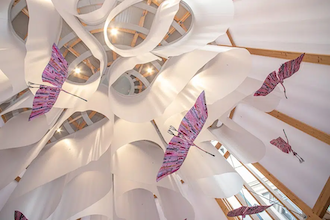 installazione selvatica biella