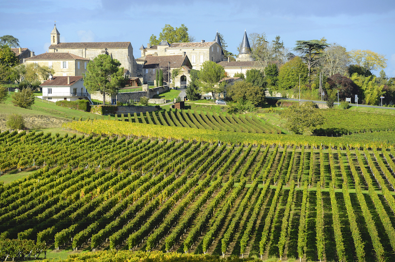 vigneti bordeaux