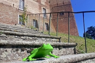 castello roero monticello cracking art rana