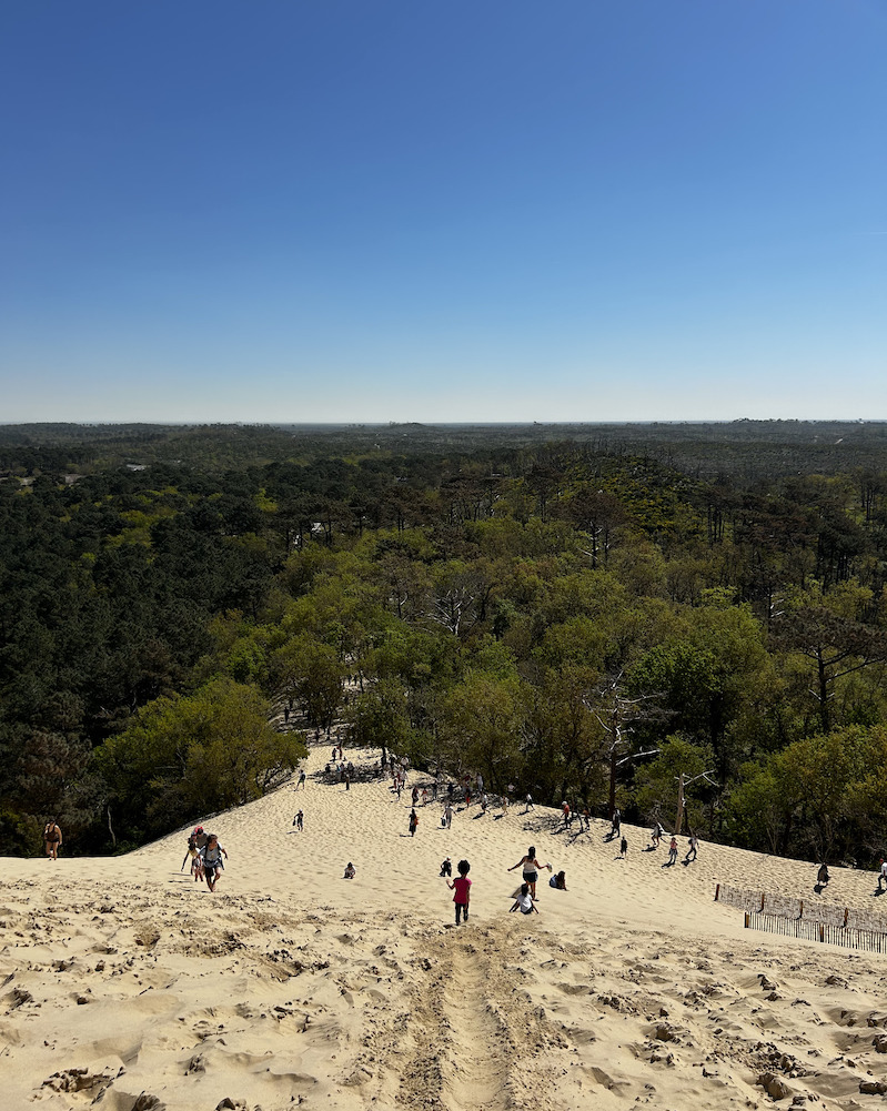 duna di pilat sabbia e foresta