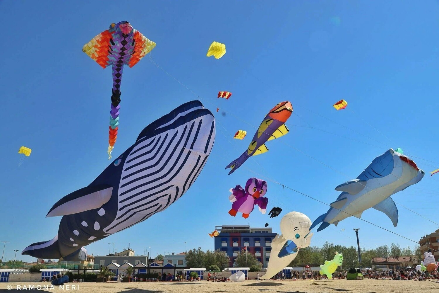 Festival degli Aquiloni di Fano