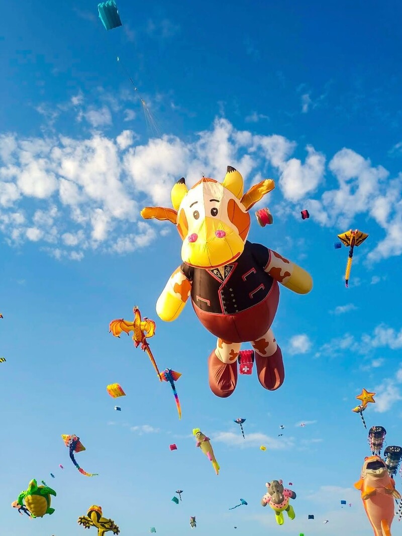 Festival degli Aquiloni di Fano