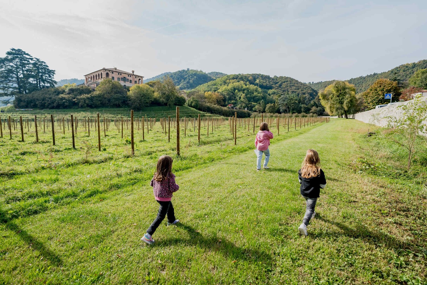Villa Vescovi © Luca Chiandoni