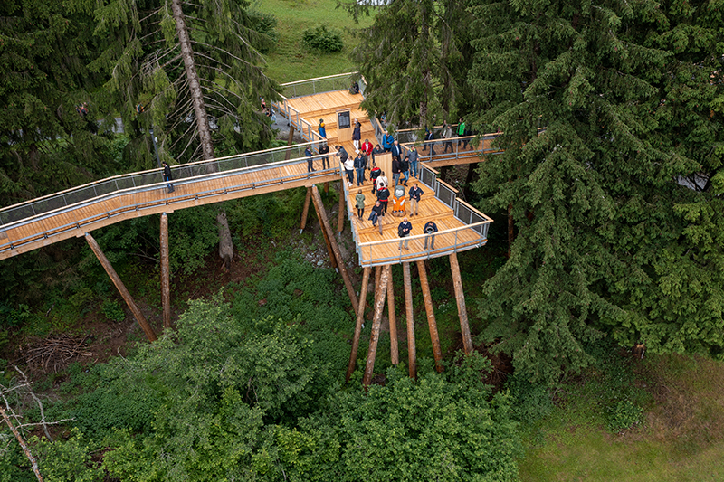 Senda dil Dragun © P. Ruggli