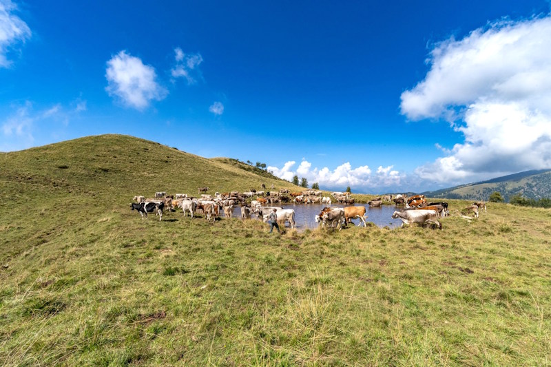 Montecampione escursioni