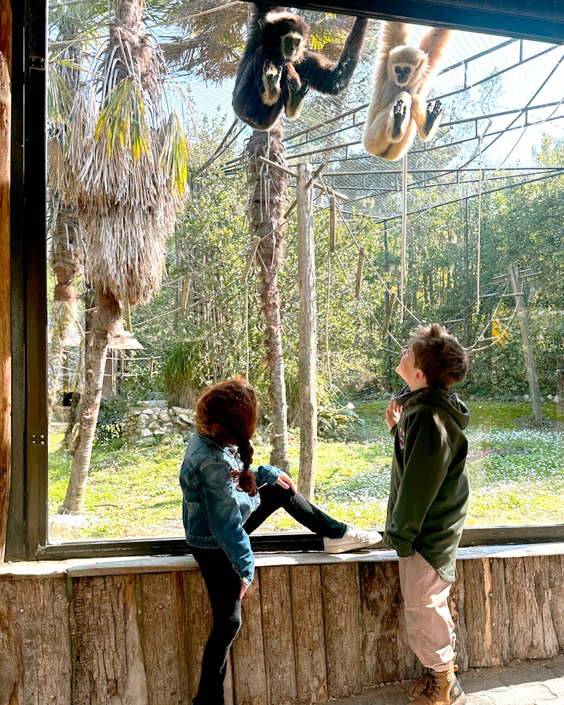 Parco zoo Falconara con bambini