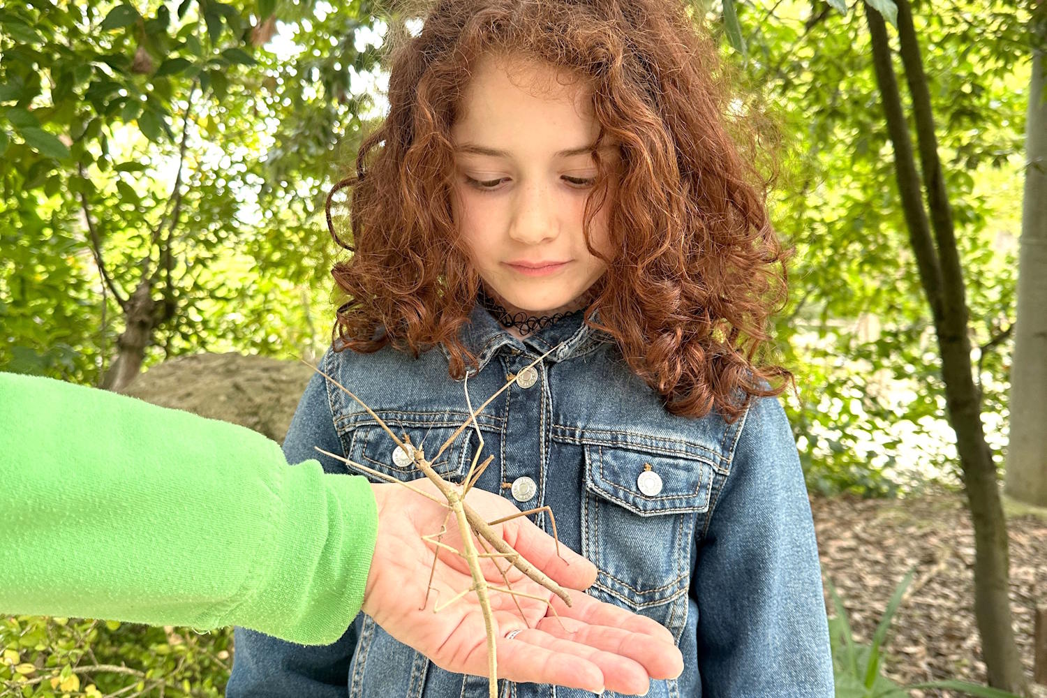 Parco Zoo Falconara animali