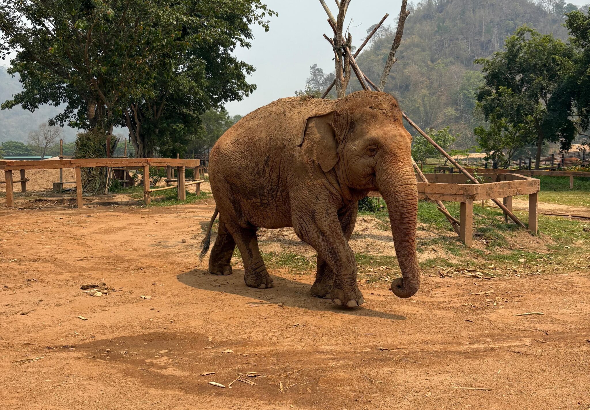 Elephant Nature Park a Chiang Mai