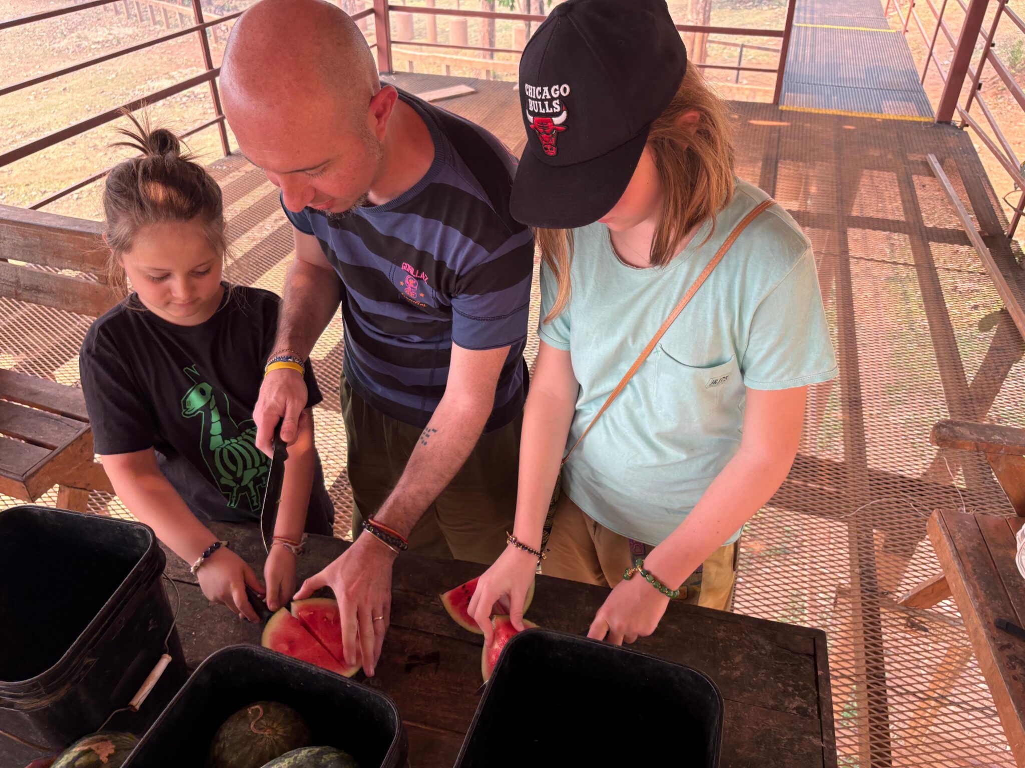 Prepariamo il cibo per gli elefanti