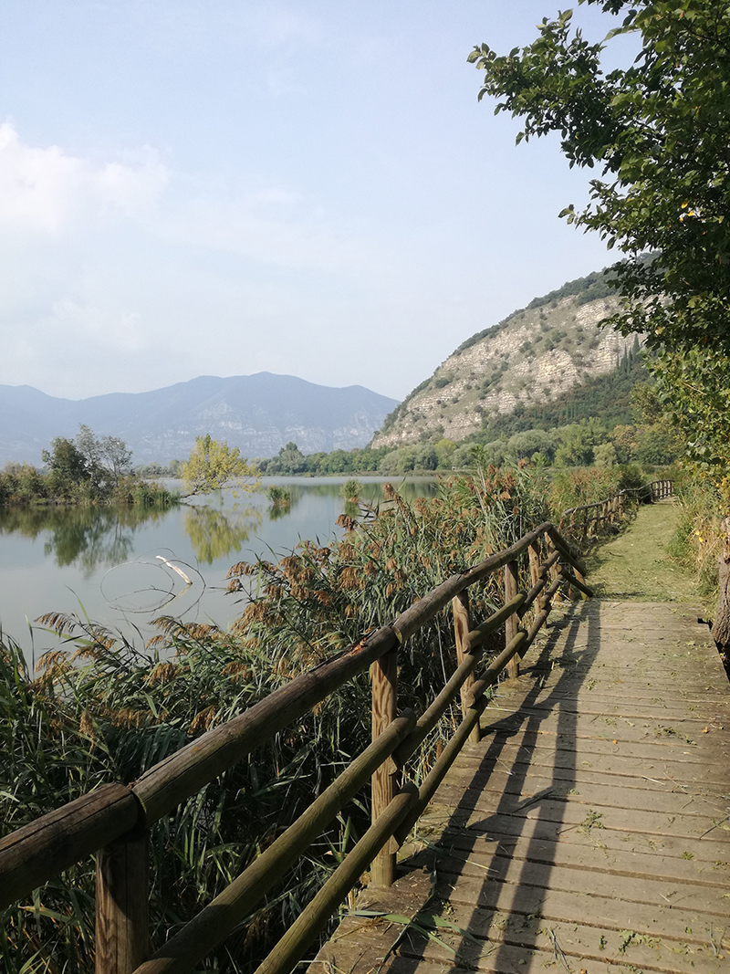 Vista sulle torbiere © E. Brenna