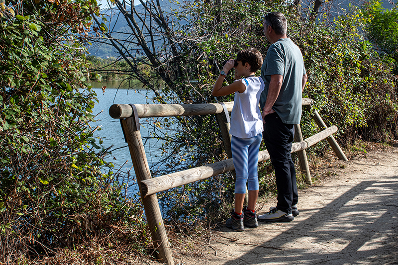 Birdwatching © Riserva Naturale Torbiere del Sebino