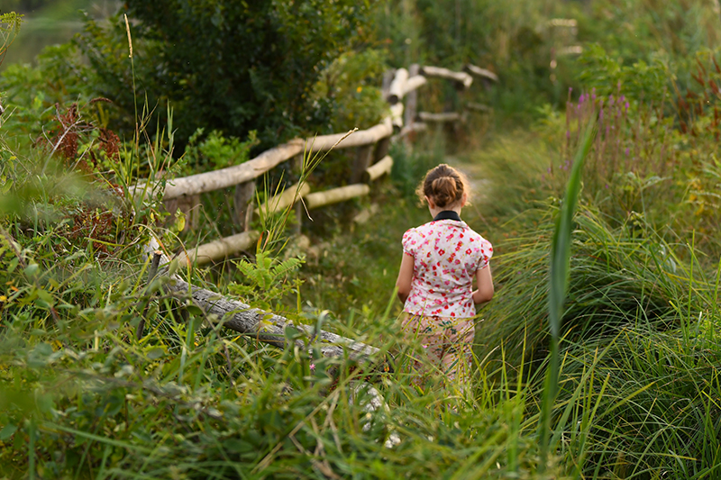 Percorso © Riserva Naturale Torbiere del Sebino