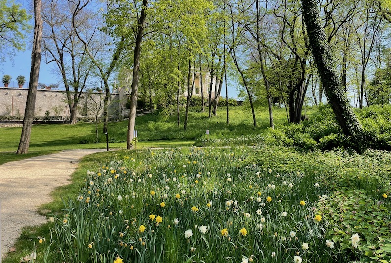 giardino fiorito villa la rotonda