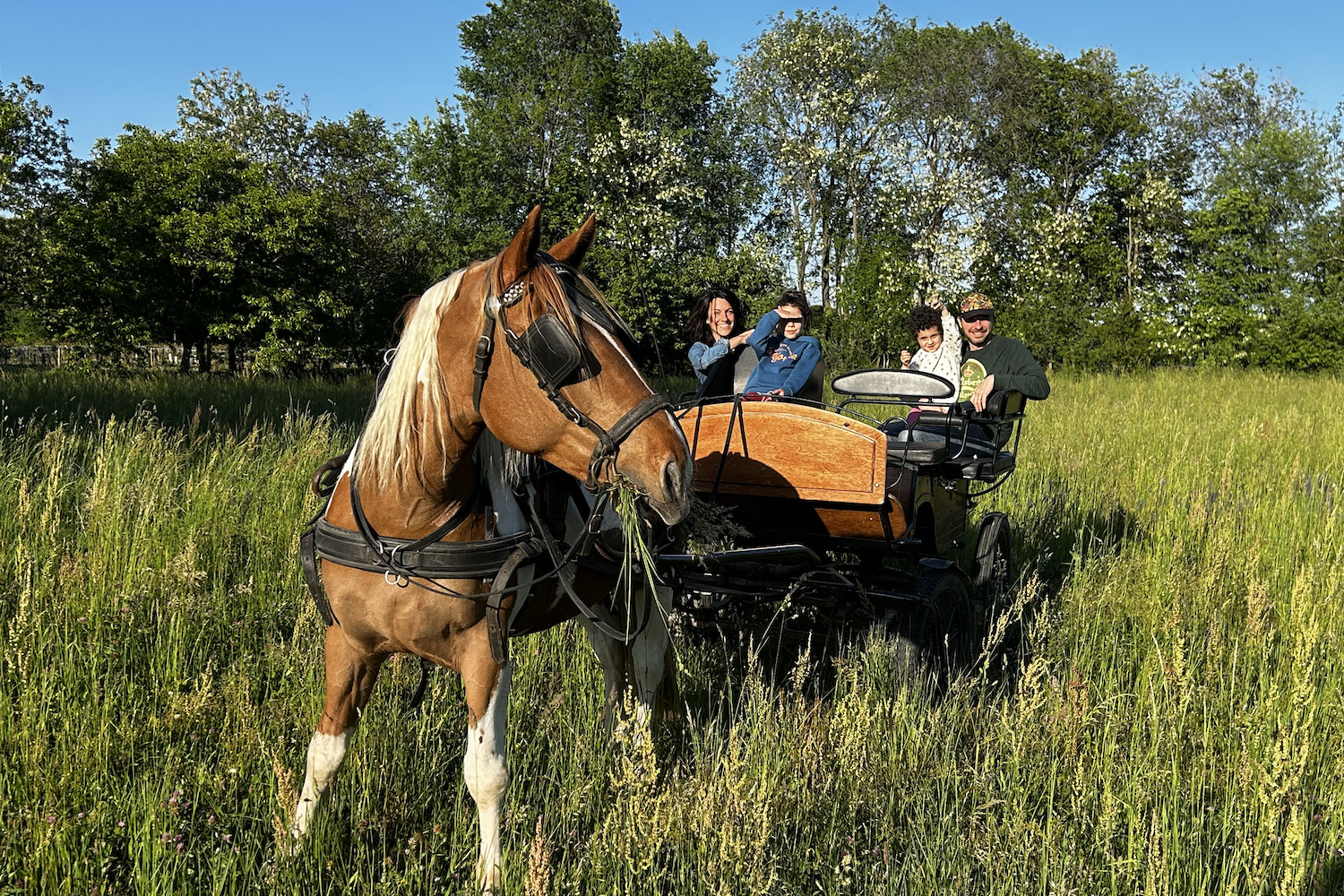 Friuli Venezia Giulia con bambini natura