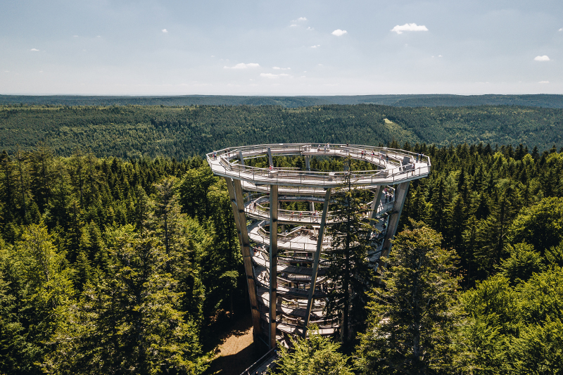 Baumwipfelpfad © Chris Keller