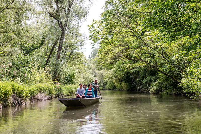 Riserva naturale Taubergießen © Gregor Lengle