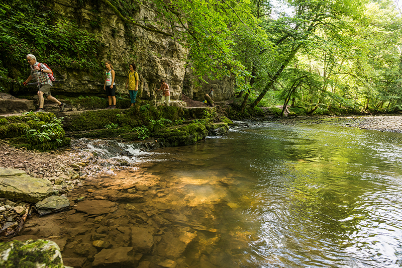 Gola di Wutach © Hochschwarzwald Tourismus