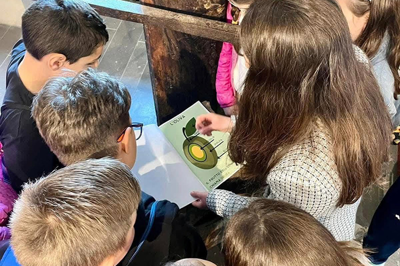 Laboratori per famiglie al Museo dell'Olio in Sabina
