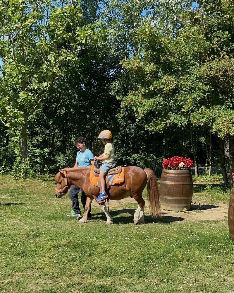 Parco Oltremare: il battesimo della Sella con i Pony