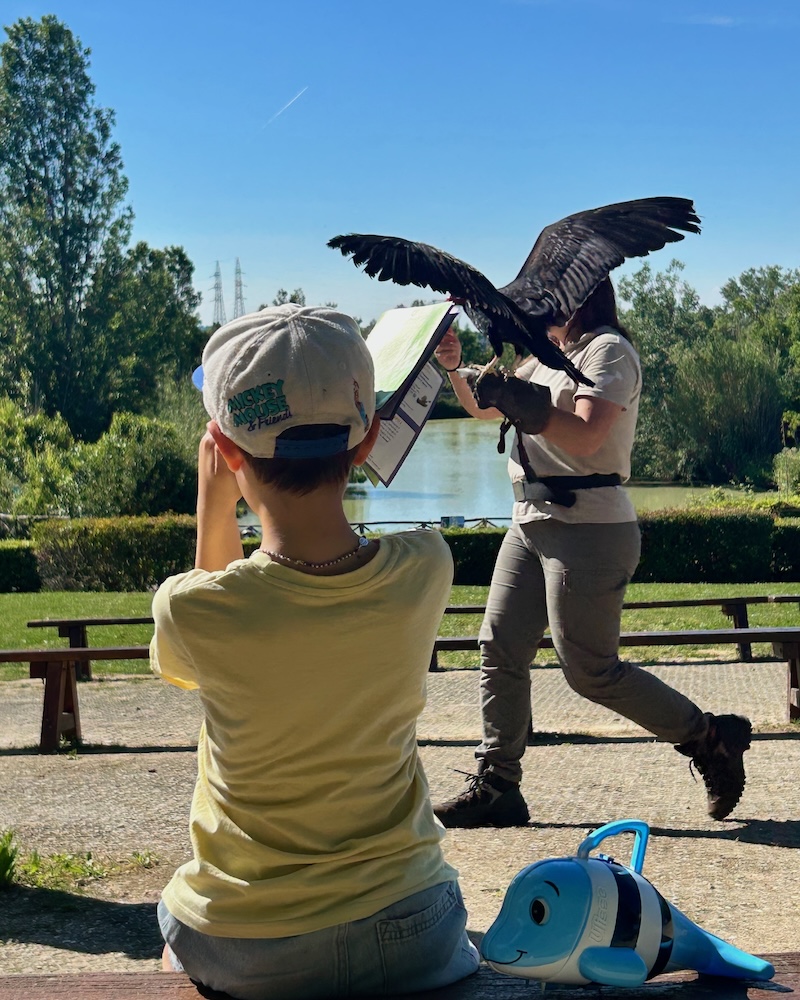 Parco Oltremare: spettacolo dei rapaci
