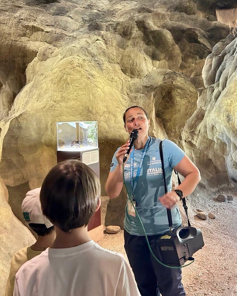 Oltremare: La nostra guida nell'area Sapiens