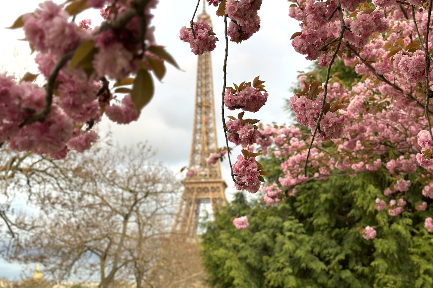 Parigi con adolescenti