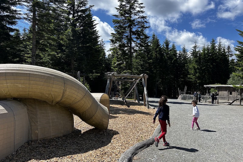 regno della foresta Lipno