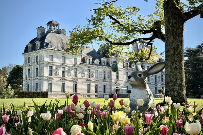 Valle della Loira: Castello di Cheverny © Noëlline Peltier