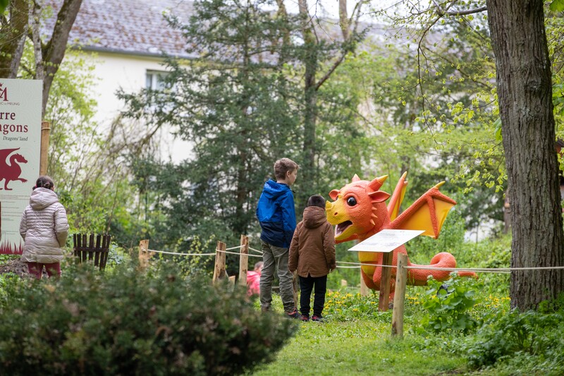 Valle della Loira: Castello di Meng surl Loire © IOAproduction
