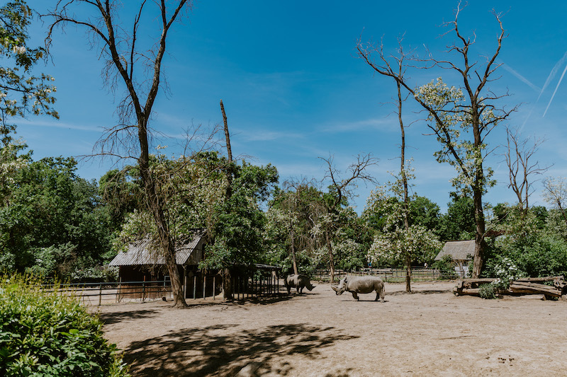 Zoo di Nyíregyháza