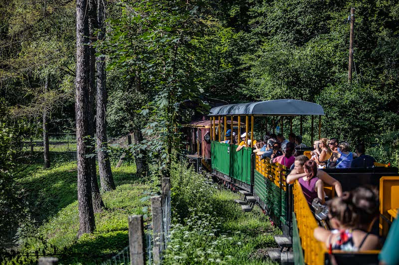 trenino famiglie ungheria