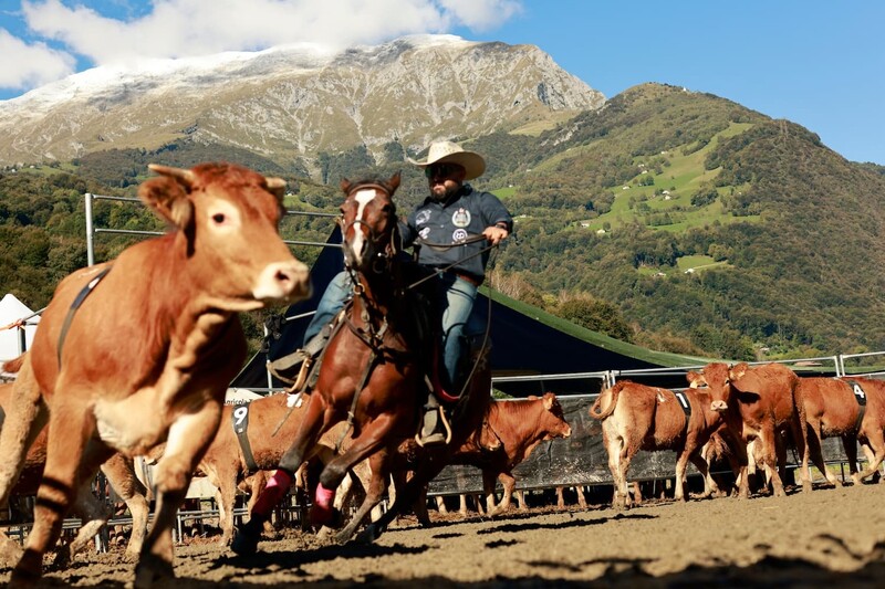 Valsassina Country Festival: attività nell'arena © Giuseppe Catalano